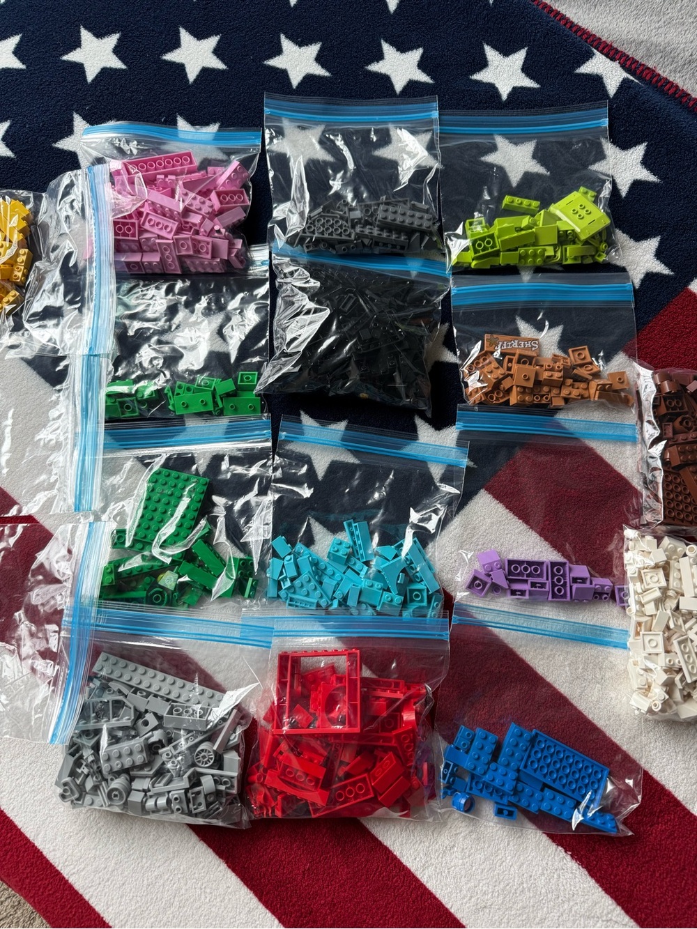Mixed LEGO Pieces Bundle for Kids Builders – Organized by Color